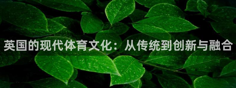 bbin视讯游戏平台：英国的现代体育文化：从传统到创新与融合