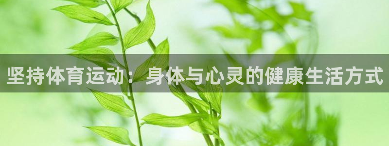 bbin视讯游戏官网