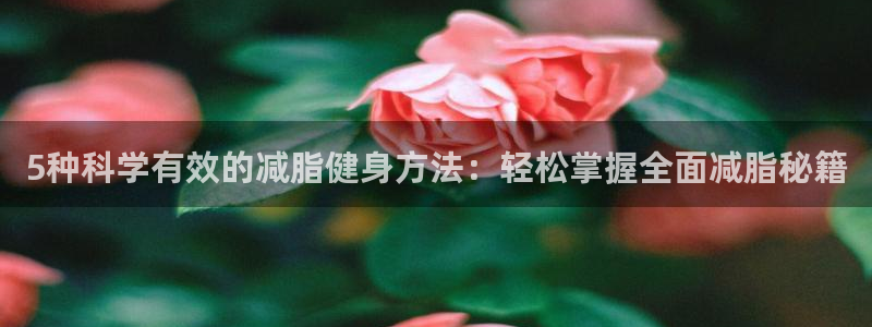 bbin视讯：5种科学有效的减脂健身方法：轻松掌握全面减脂秘籍