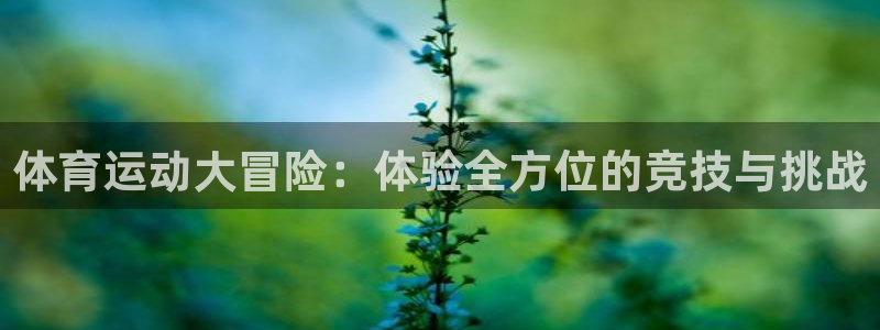bbin视讯：体育运动大冒险：体验全方位的竞技与挑战