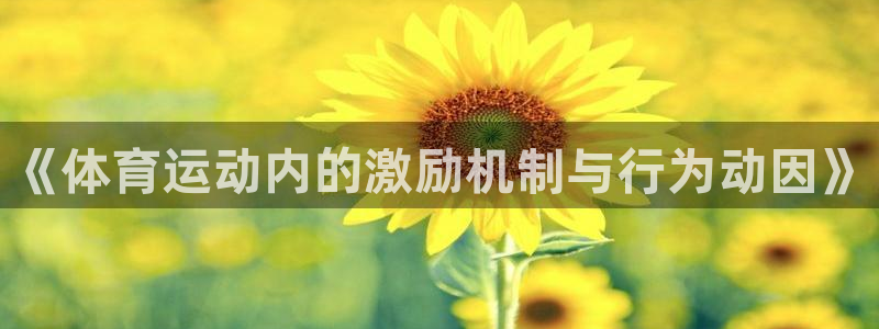 bbin视讯