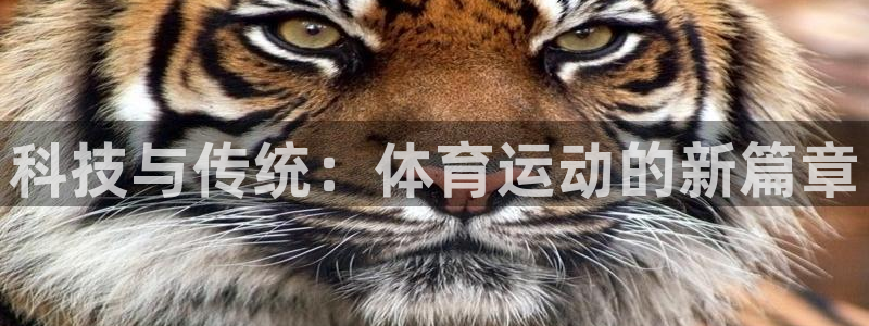bbin视讯游戏平台