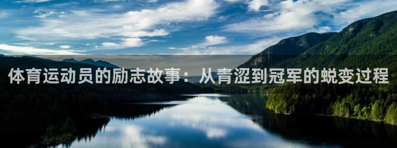 bbin视讯