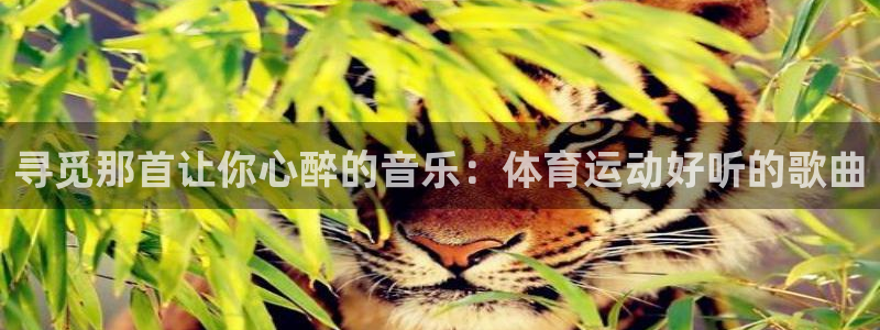 bbin视讯：寻觅那首让你心醉的音乐：体育运动好听的歌曲