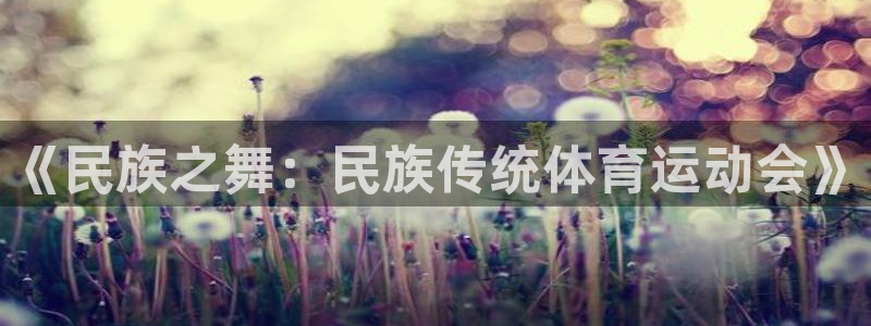 bbin视讯下：《民族之舞：民族传统体育运动会》